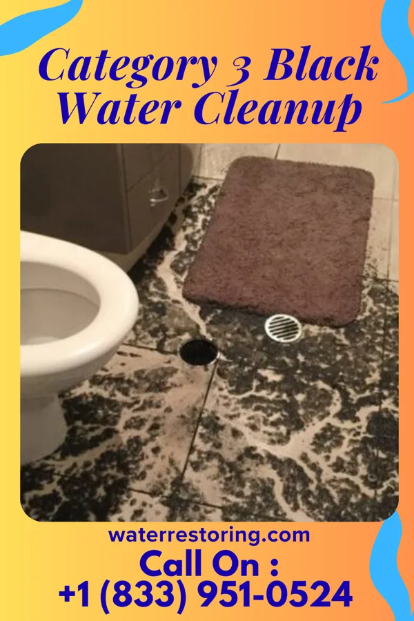 Category 3 Black Water Cleanup in Chillum, MD