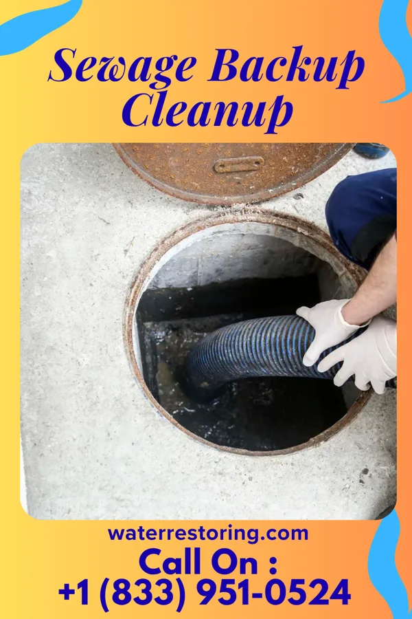 Sewage Backup Cleanup in Chillum, MD